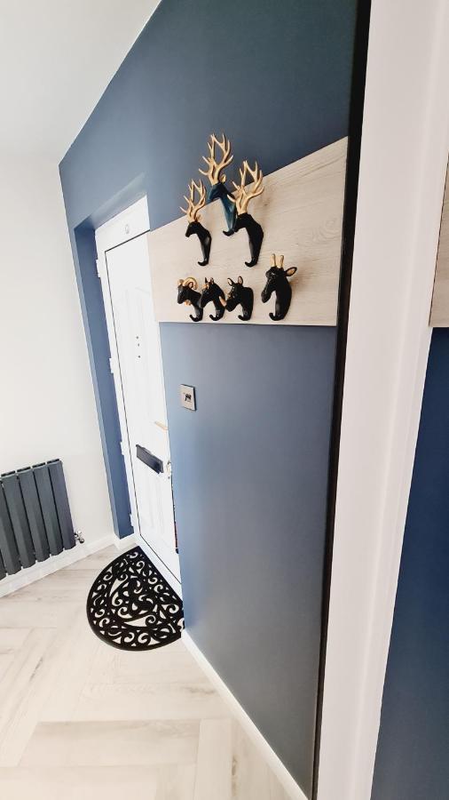 Appartamento Beautiful 2Bed House With Garden, Walking Distance To Town - Free Parking Glasgow Esterno foto